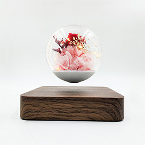 product/details